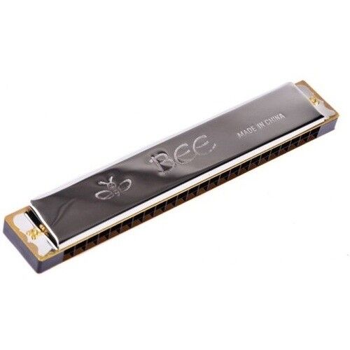 BEE DF20 20 DELİKLİ MIZIKA