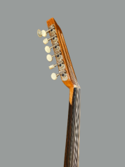 ELEKTRO UD İNCE KASA MAUN EKOLAYZERLI