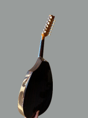 ELEKTRO UD İNCE KASA MAUN EKOLAYZERLI