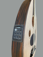 ELEKTRO UD İNCE KASA MAUN EKOLAYZERLI