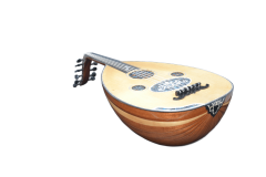 UD275 PROFESYONEL UD ABANOZ BURGULU KANADA KAPAK MAUN