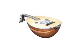 UD275 PROFESYONEL UD ABANOZ BURGULU KANADA KAPAK MAUN