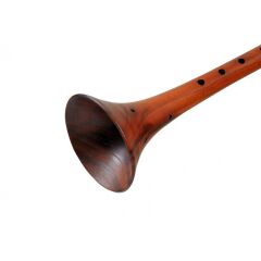 ZE31-2 DO ERİK ZURNA ORTA BOY