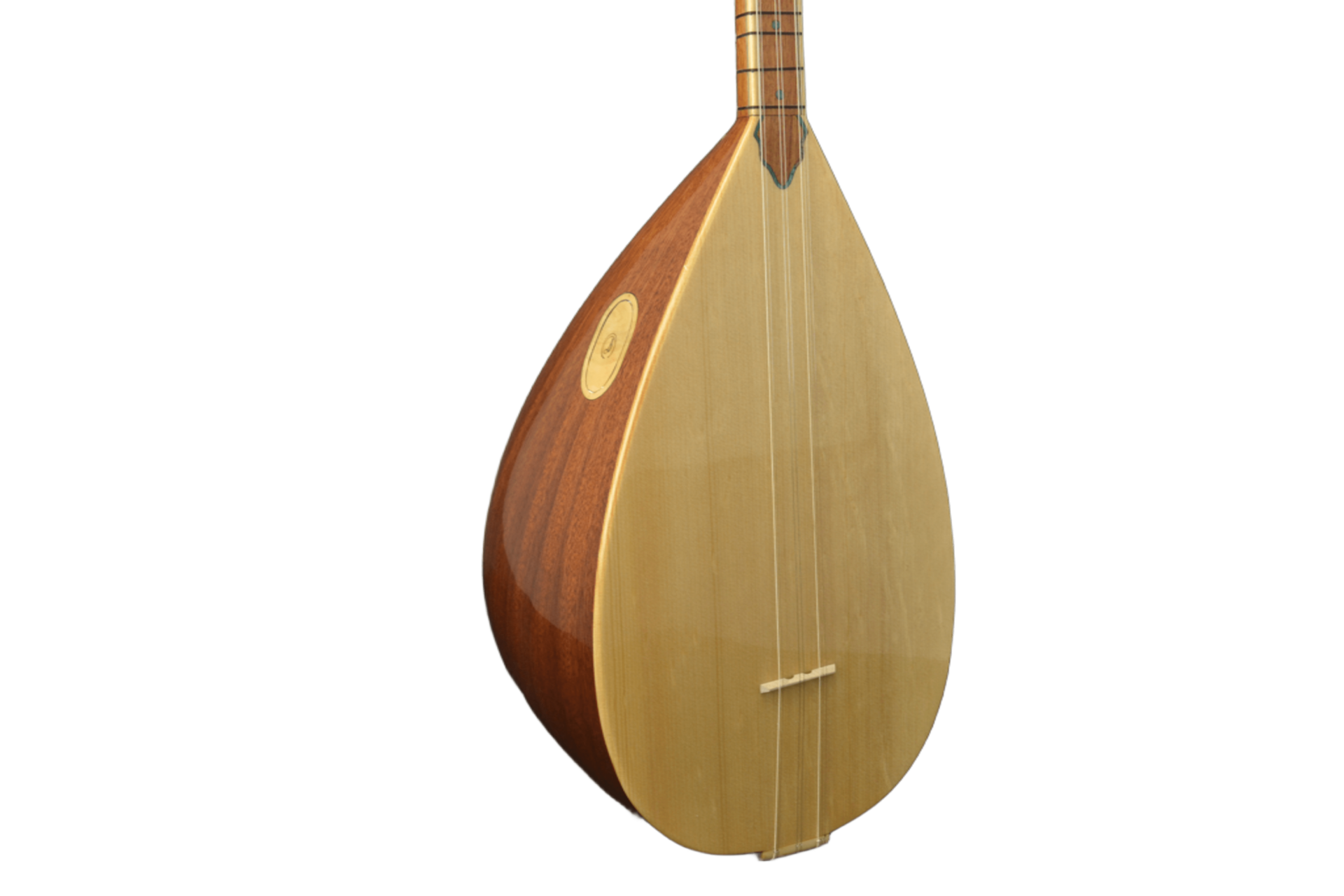 UB200ZF UZUN SAP YARI PROFESYONEL BAĞLAMA KLAVYELİ NOKTALI