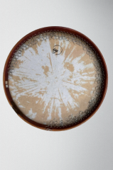 HABİBİ ORJİNAL KUTULU ERBANE GÜNEŞ MODEL KILIF HEDİYE