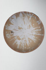 HABİBİ ORJİNAL KUTULU ERBANE GÜNEŞ MODEL KILIF HEDİYE