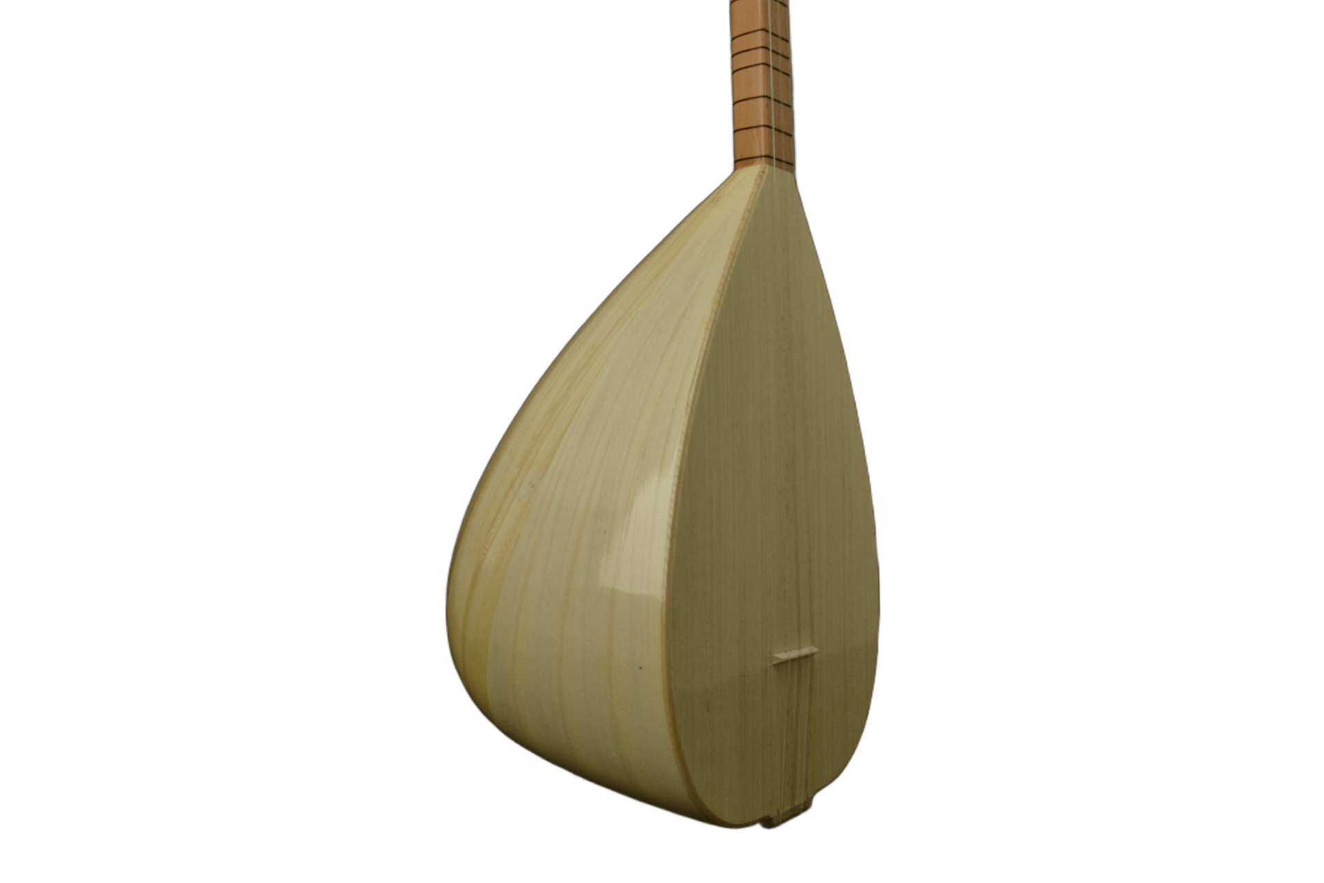 KB100K KISA SAP IHLAMUR ÖĞRENCİ BAĞLAMA